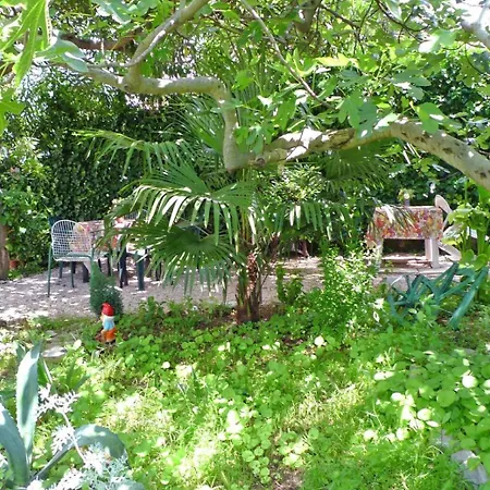 Διαμέρισμα Brane