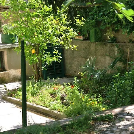 Brane Apartment Split